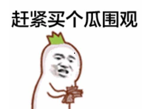 调皮吃瓜群众摸头视频大全,调皮吃瓜群众视频大全集锦