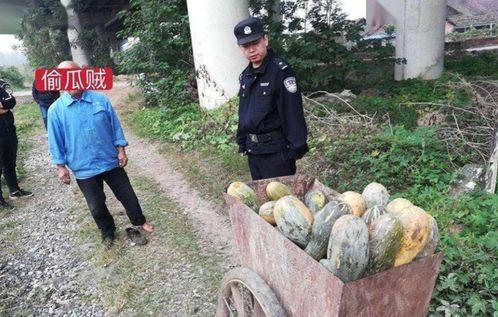 务川网红吃瓜事件视频,一场网络热议的幕后真相揭秘