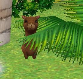 吃瓜视频各种神兽图片,神兽图鉴大集合