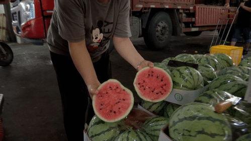 公共场所吃瓜群视频,揭秘现代社交现象背后的众生相