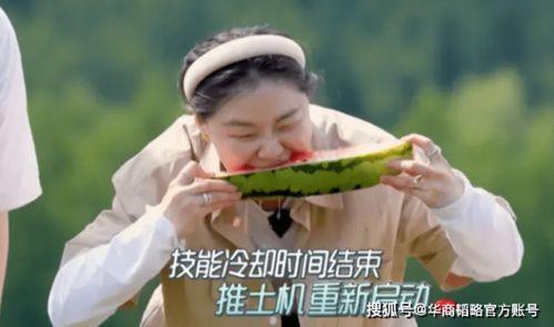 我是中国人吃瓜视频,揭秘网络热点的全民狂欢