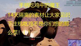 吃鸡里的小呆瓜是谁啊视频,视频走红背后的故事