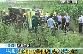 河北蔚县吃瓜事件视频,一场引发热议的网络视频风波