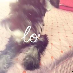 兔兔子吃瓜视频,萌态十足，带你领略可爱瞬间