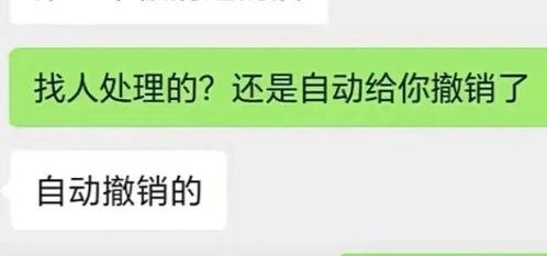 抖音吃瓜视频免费入口,一网打尽热门视频，畅享娱乐盛宴！