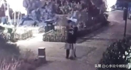 平遥吃瓜事件真相视频,揭秘真相背后的惊人内幕