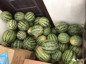 木森韩城吃瓜视频,一场视觉盛宴背后的故事